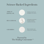 Body Cream