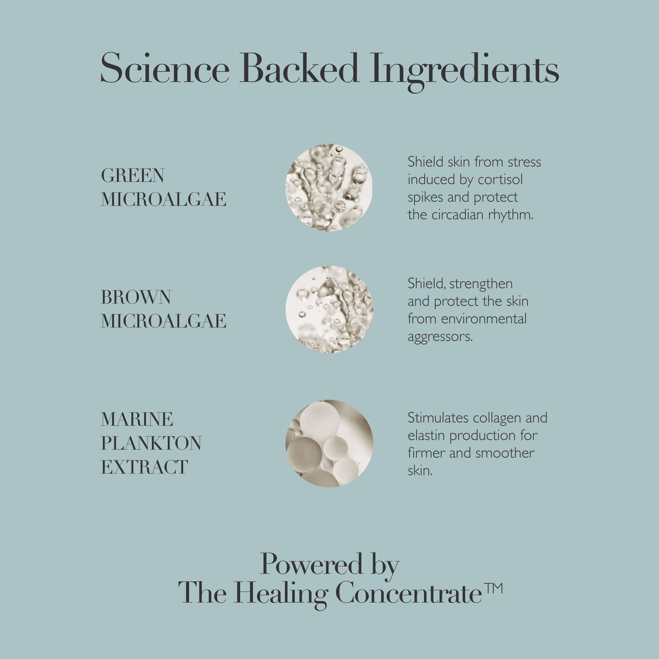 Cushioning Day Cream Mini