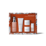 Mineral-Charged Minis Discovery Set