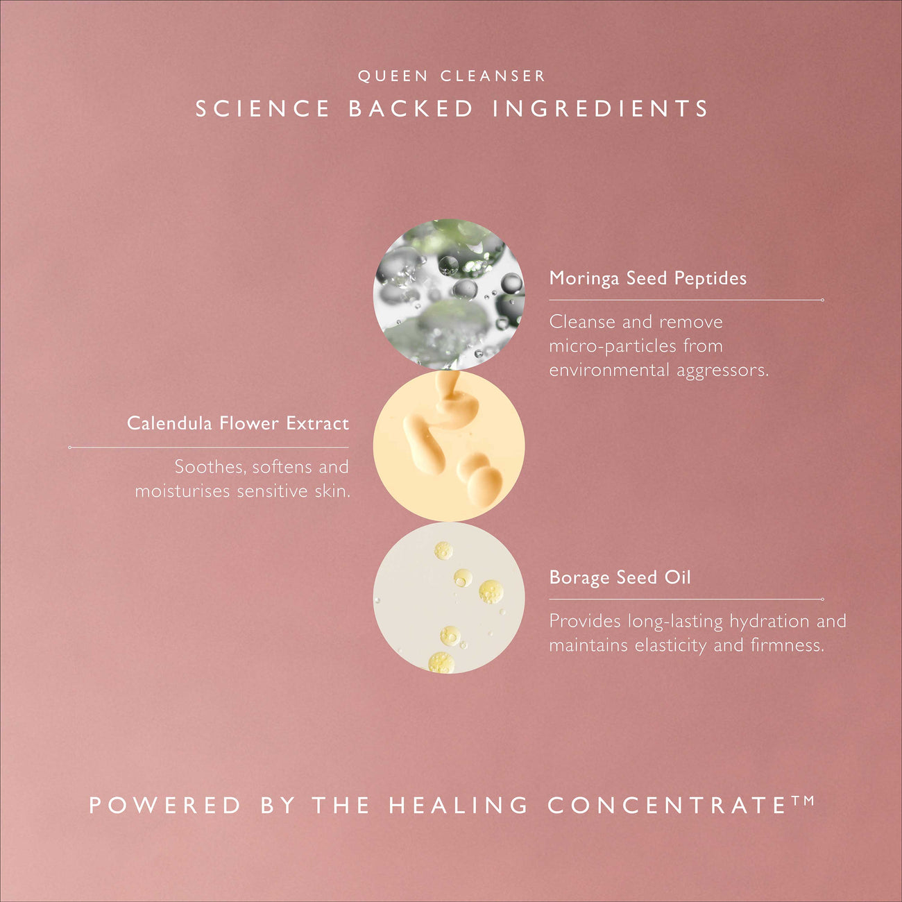 Queen Cleanser