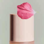 Queen of Hungary Mist