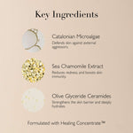 Soothing Salve Cream